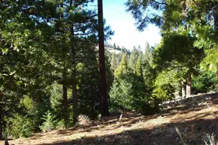 369 Big Grizzly Rd, Portola, CA 96122 - Photo 3