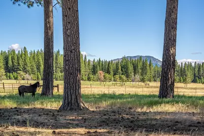22440 State Highway 89, Calpine, CA 96124 - Photo 15