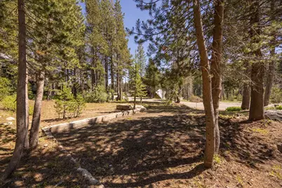 21674 Donner Pass Road, Soda Springs, CA 95728 - Photo 7