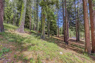 202 Hidden Lake Loop, Olympic Valley, CA 96146 - Photo 23