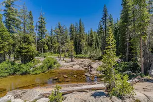 0 Magonigal Rd, Soda Springs, CA 95728 - Photo 25