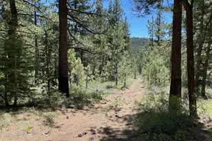 019-080-028-0 Groundhog Rock, Sierraville, CA 96125 - Photo 3