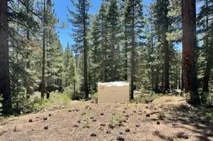 019-080-028-0 Groundhog Rock, Sierraville, CA 96125 - Photo 11