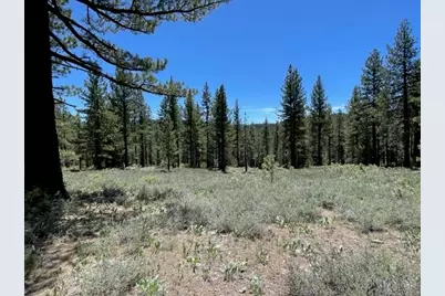 019-080-028-0 Groundhog Rock, Sierraville, CA 96125 - Photo 1