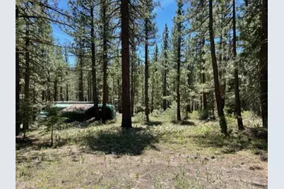 019-080-028-0 Groundhog Rock, Sierraville, CA 96125 - Photo 5