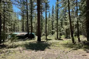 019-080-028-0 Groundhog Rock, Sierraville, CA 96125 - Photo 5