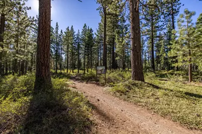 335 Pineland Drive, Tahoe City, CA 96145 - Photo 9