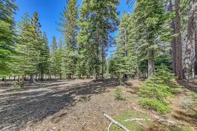 10770 Silver Spur Drive, Truckee, CA 96161 - Photo 7