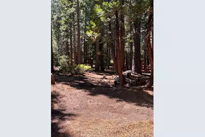 1001 Pinion Pine Trail, Blairsden, CA 96103 - Photo 13
