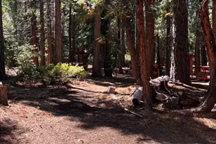 1001 Pinion Pine Trail, Blairsden, CA 96103 - Photo 13