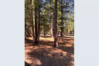 1001 Pinion Pine Trail, Blairsden, CA 96103 - Photo 5