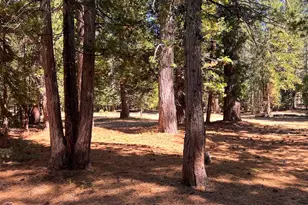 1001 Pinion Pine Trail, Blairsden, CA 96103 - Photo 5
