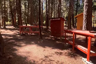 1001 Pinion Pine Trail, Blairsden, CA 96103 - Photo 7