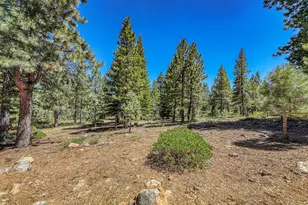 14193 Alder Creek Rd, Truckee, CA 96161 - Photo 27