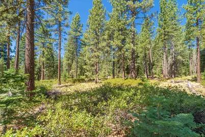 12134 Lamplighter Way, Truckee, CA 96161 - Photo 13