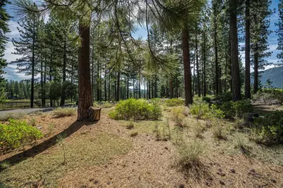 801 Joseph Gray, Truckee, CA 96161 - Photo 13