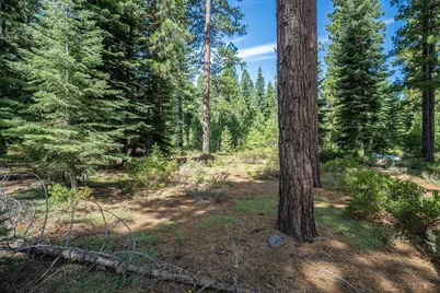 801 Joseph Gray, Truckee, CA 96161 - Photo 1