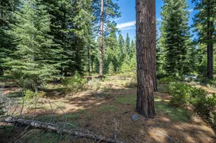 801 Joseph Gray, Truckee, CA 96161 - Photo 1