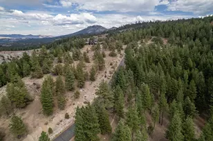 321 Eagles Nest, Portola, CA 96122 - Photo 9