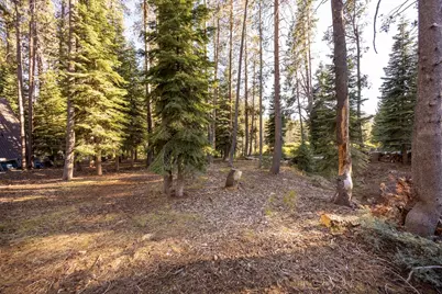50741 Conifer Drive, Soda Springs, CA 95728 - Photo 13