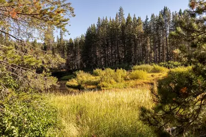 50741 Conifer Drive, Soda Springs, CA 95728 - Photo 7