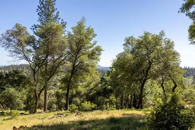 1235 Forest View Drive, Meadow Vista, CA 95722 - Photo 3