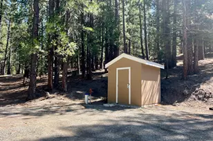 955 Shady Ln, Clio, CA 96106 - Photo 3