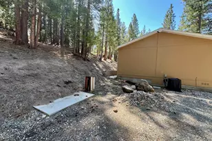 955 Shady Ln, Clio, CA 96106 - Photo 5