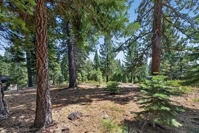 11918 Saddleback Drive, Truckee, CA 96161 - Photo 5