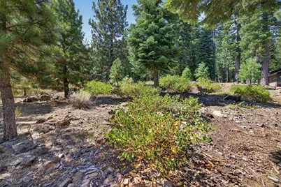 11918 Saddleback Drive, Truckee, CA 96161 - Photo 7