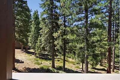 6024 Mill Camp, Truckee, CA 96161 - Photo 13