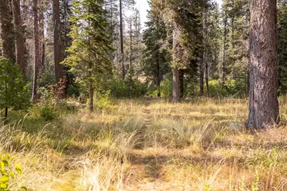 10043 Rusty Lane, Soda Springs, CA 95728 - Photo 27