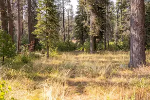 10043 Rusty Ln, Soda Springs, CA 95728 - Photo 27