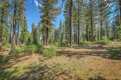 12337 Garwood Dean, Truckee, CA 96161 - Photo 3