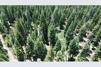 19611 Marsh Mill Road, Nevada City, CA 95959 - Photo 9