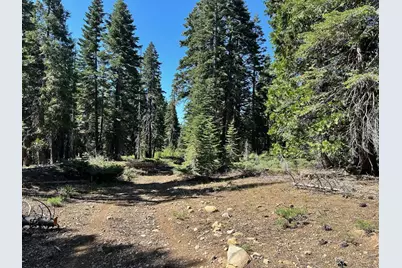 19611 Marsh Mill Road, Nevada City, CA 95959 - Photo 23