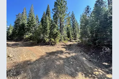 19611 Marsh Mill Road, Nevada City, CA 95959 - Photo 3