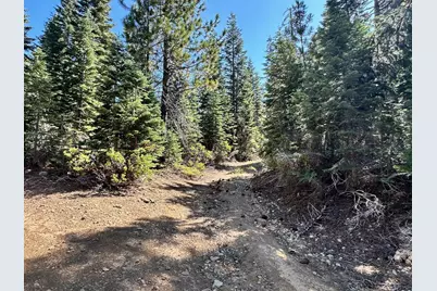 19231 Marsh Mill Road, Nevada City, CA 95959 - Photo 11