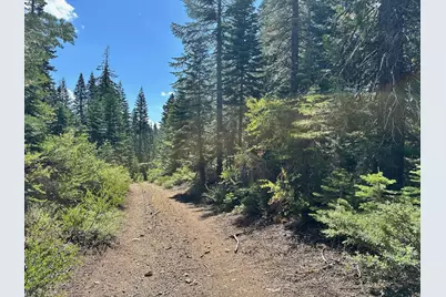19231 Marsh Mill Road, Nevada City, CA 95959 - Photo 5