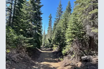 19231 Marsh Mill Road, Nevada City, CA 95959 - Photo 25