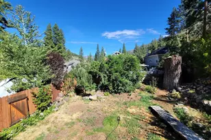 22204 Spruce St, Floriston, CA 96111 - Photo 37