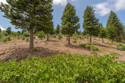 15644 Skislope Way, Truckee, CA 96161 - Photo 15
