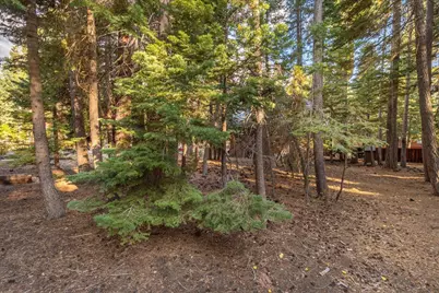417 Deer Avenue, Tahoma, CA 96142 - Photo 15