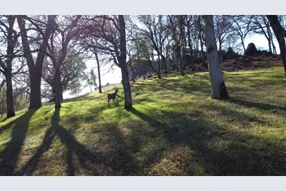 23021 Darkhorse Drive, Auburn, CA 95602 - Photo 7