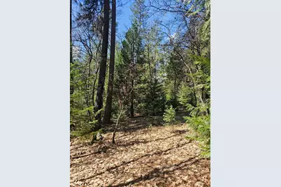 19344 Louis Road, Grass Valley, CA 95945 - Photo 15