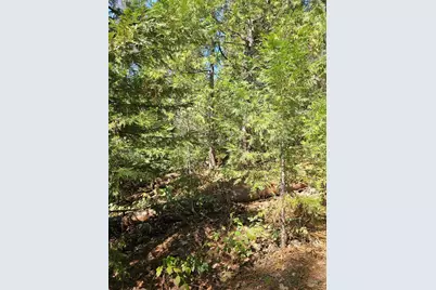 19344 Louis Road, Grass Valley, CA 95945 - Photo 21