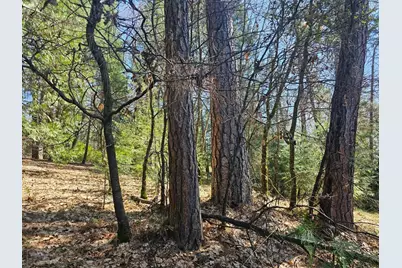 19344 Louis Road, Grass Valley, CA 95945 - Photo 29