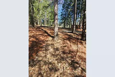 19344 Louis Road, Grass Valley, CA 95945 - Photo 31