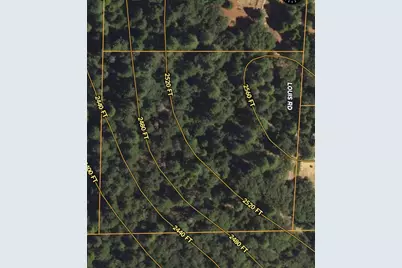 19344 Louis Road, Grass Valley, CA 95945 - Photo 3