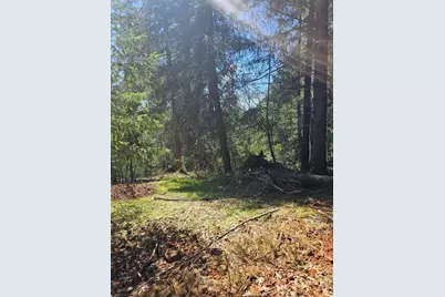 19344 Louis Road, Grass Valley, CA 95945 - Photo 33